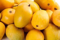 MANGO BOCADO