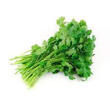 CILANTRO