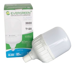 BOMBILLO LED EVERGREEN T120 40W