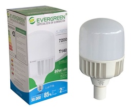 BOMBILLO LED EVERGREEN T140 80W